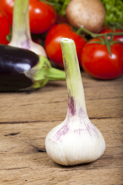 Single garlic bulb standing in front vegetable background - 写真・画像
