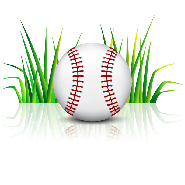 Бейсбольный мяч на зеленой траве с отражением - Вектор,изображение