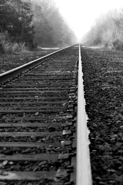 Railroad tracks - Photo, Image