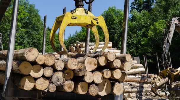 Beladung von schweren Arbeitsgeräten mit Baumstämmen  - Foto, Bild