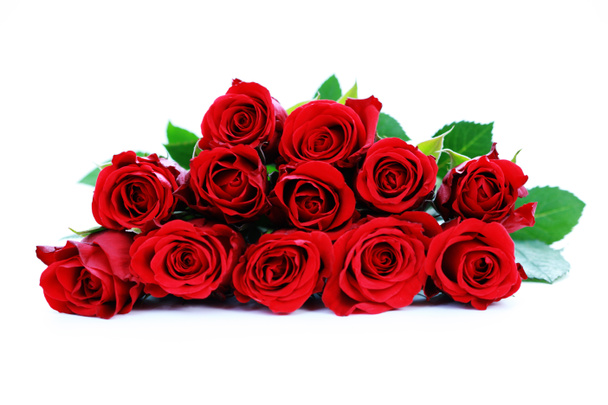 Bando de rosas - Foto, Imagem