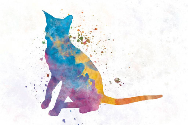 Itämainen kissa akvarellissa - Valokuva, kuva