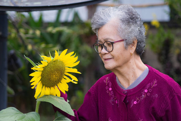 Vanhempi nainen, jolla on lyhyet harmaat hiukset, lasit, hymyilee ja katselee auringonkukkaa seisoessaan puutarhassa. Tekstiavaruus. Ikääntyneiden käsite ja rentoutuminen. - Valokuva, kuva