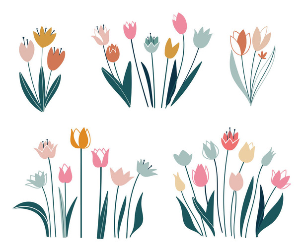 Tulips set. Flowers in a flat style. Vector isolated on white background. Easter, thanksgiving. Spring, hand drawn elements. - Vector, Image