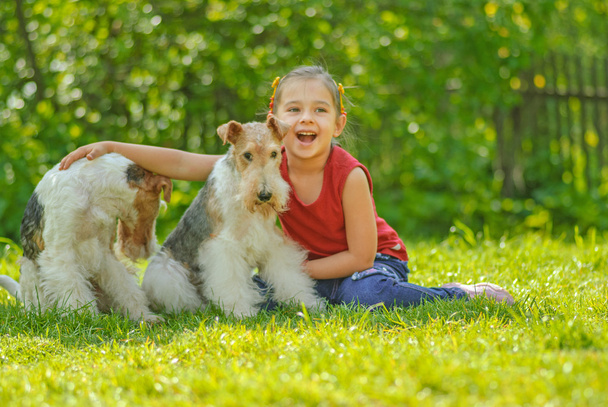 Young Girl and two fox terriers - Photo, Image