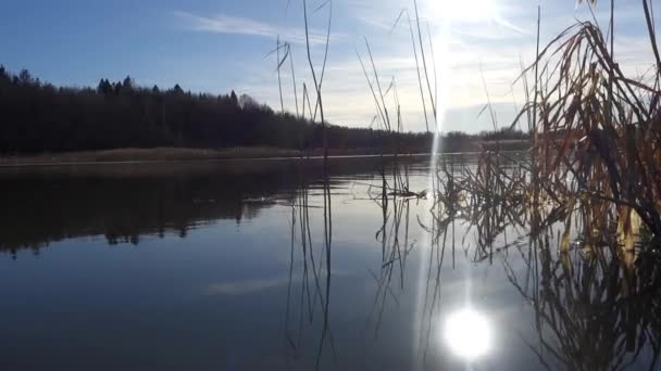 Niedrige Sicht des Flusses mit hinterleuchtetem Mann im Kajak hinter Schilf - Filmmaterial, Video