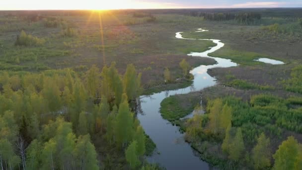 The small stream on the bogland in Ao Estonia - Felvétel, videó