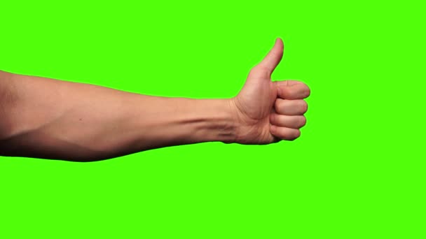 Όπως η χειρονομία, ο αντίχειρας πάνω σε πράσινο φόντο. Αριστερό και δεξί χέρι. Αρσενικά χέρια δείχνουν σαν σημάδι στο copyspace - Πλάνα, βίντεο