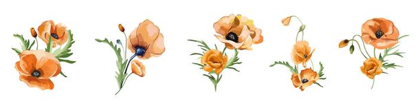 Елегантні декоративні векторні макові квіти і листя в акварельному стилі, елемент дизайну
. - Вектор, зображення