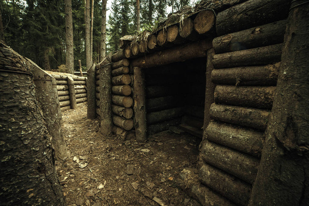 Armáda, dřevěné výkopy stromů v lese. Finská obranná linie z druhé světové války na Karelianově šíji - Fotografie, Obrázek