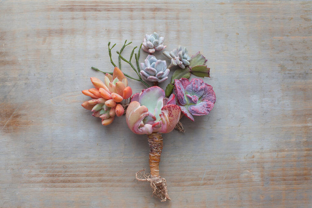 Creative tree made from succulent flowers on vintage wooden background - Photo, Image