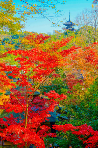 Foglie di autunno e una pagoda di cinque piani dell'immagine - Foto, immagini