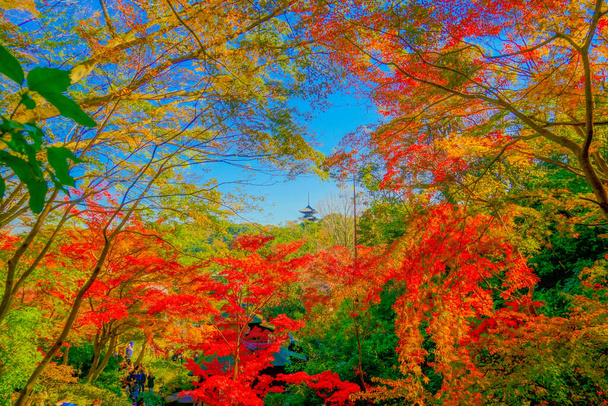 Hojas de otoño y una pagoda de cinco pisos de la imagen - Foto, Imagen