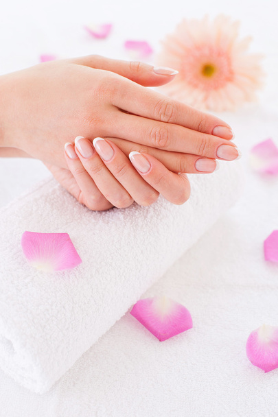 Female hands on the towel with rose petals - Photo, Image