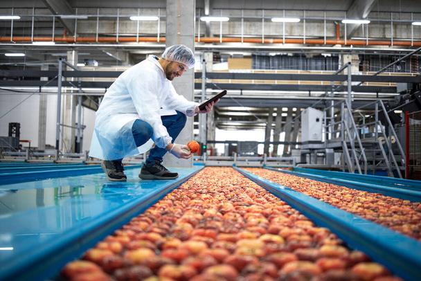 Tecnologo con tablet computer in piedi presso i trasportatori del serbatoio dell'acqua che effettuano il controllo di qualità della produzione di mele negli impianti di trasformazione alimentare. - Foto, immagini