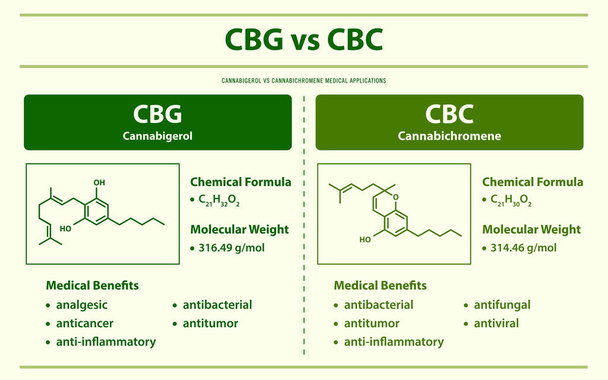 CBG vs CBC, Cannabigerol vs Cannabichromene ilustração infográfica horizontal sobre cannabis como fitoterápicos medicina alternativa e terapia química, saúde e vetor de ciência médica. - Vetor, Imagem