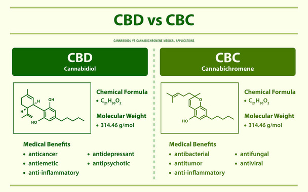 CBD проти CBC, Cannabidiol проти Cannabichromene горизонтальна інфографічна ілюстрація про коноплі як рослинна альтернативна медицина і хімічна терапія, охорона здоров'я і вектор медичної науки. - Вектор, зображення