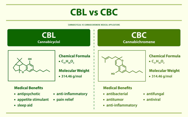 CBL対CBC, Cannabicyclol対Cannabichromene漢方薬や化学療法として大麻についての水平インフォグラフィックイラスト,医療や医学のベクトル. - ベクター画像
