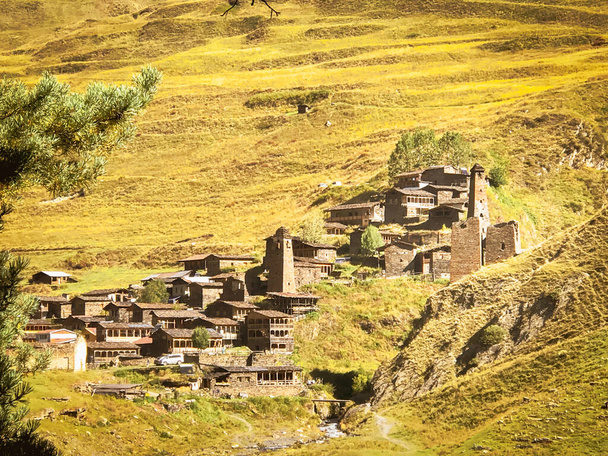 Stenen torens en traditionele tusheti huizen in Dartlo dorp. - Foto, afbeelding