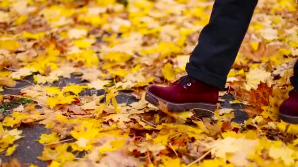 Güneşli bir günde bir sonbahar parkında kot ve kırmızı ayakkabılı kadınların bacakları yürür. - Video, Çekim