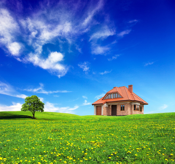 New house on grassland - Photo, Image