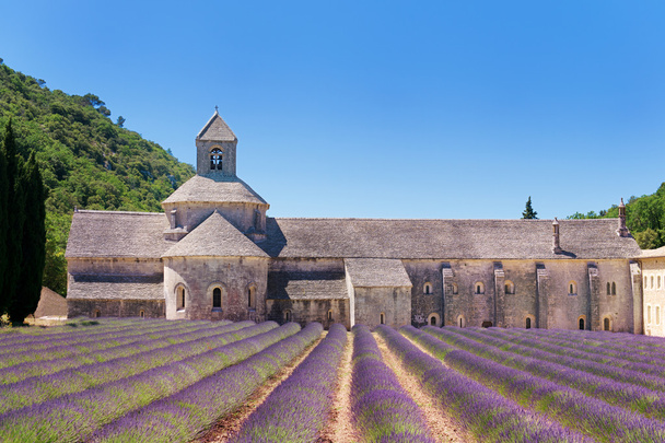 Abbey in French Senanque - Photo, image