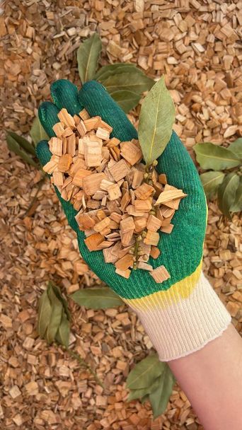 wood chips for smoking a mixture of alder and beech trees with laurel leaves and twigs - Photo, Image