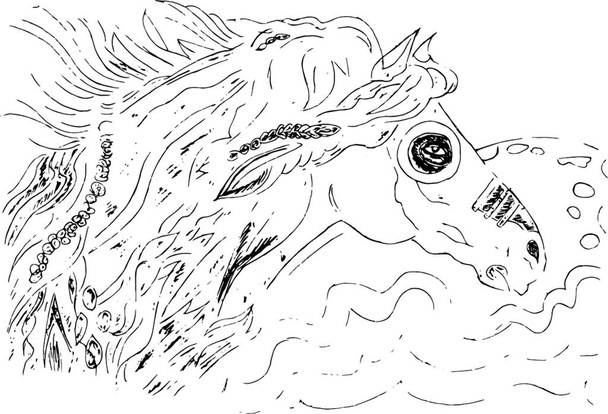 illustrazione vfeloriale cavallo indiano bianco e nero - Вектор,изображение