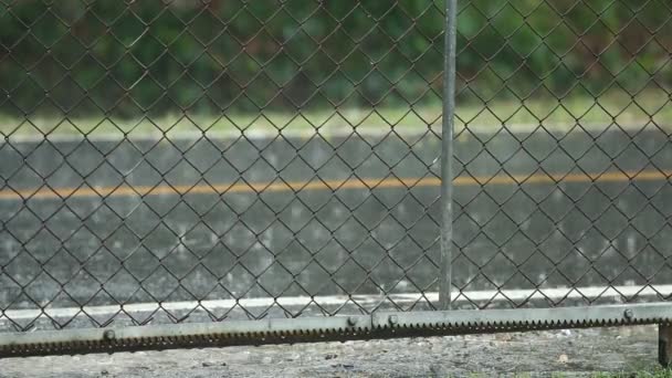 Rain dropping with fence background  , Chiangmai Thailand. - Footage, Video