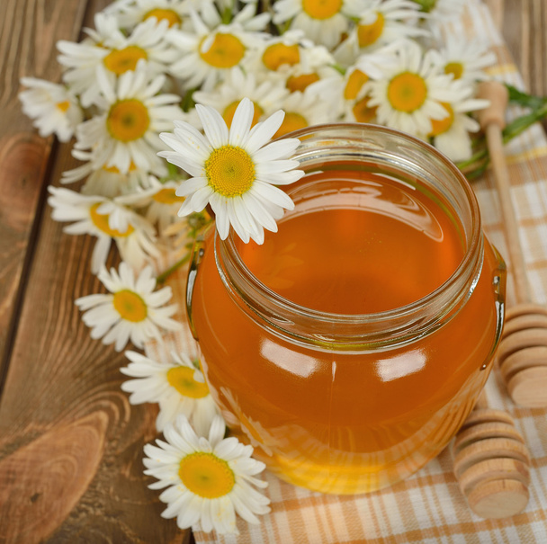 Honey and chamomile - Foto, immagini