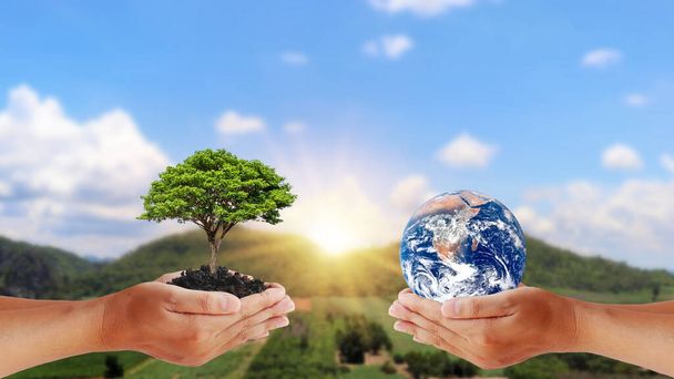 Výměna planet v rukou lidí s mladými rostlinami v rukou lidí, koncepce Dne Země a ochrana životního prostředí.Prvky tohoto obrazu zdobené NASA. - Fotografie, Obrázek