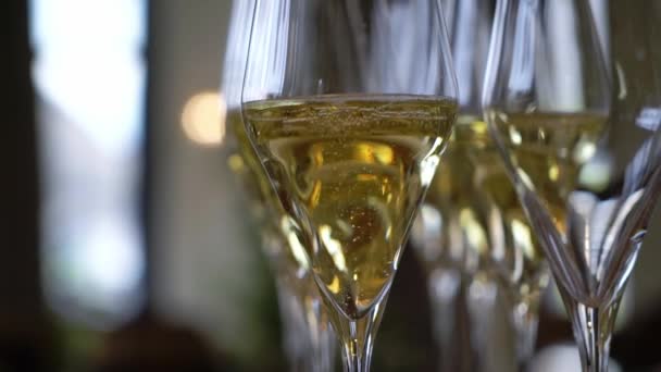 Glasses of sparkling wine champagne at the reception or party. Alcohol drinks in bar or restaurant dinner - 映像、動画