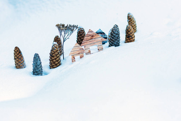 Концептуальные бумажные дома в снежных лесах - Фото, изображение