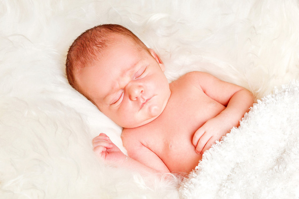 νεογέννητο αγοράκι ύπνου σε πρόβειο μαλλί - Φωτογραφία, εικόνα