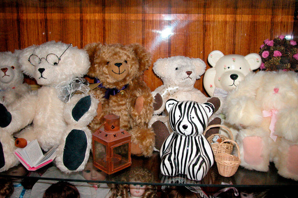 ours en peluche derrière un étui en verre, animaux en peluche blancs et bruns - Photo, image