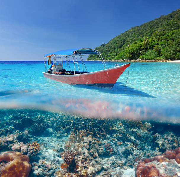 Пляж и моторная лодка с видом на коралловый риф под водой
 - Фото, изображение
