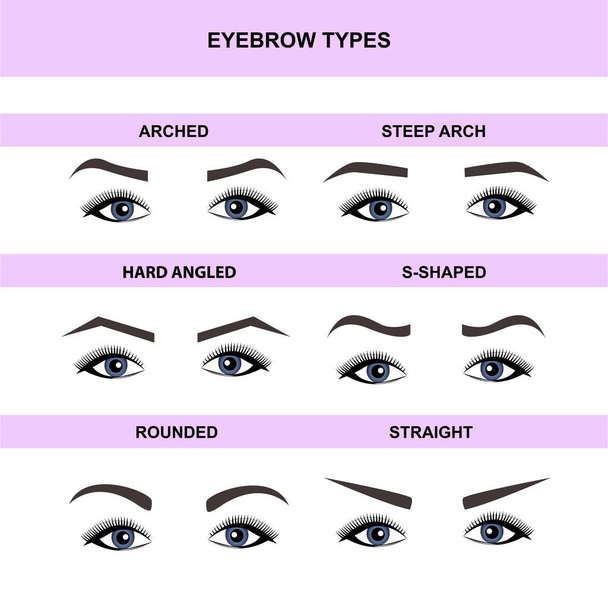 Eyebrow shapes, eyebrow guide vector tutorials - Vector, Image