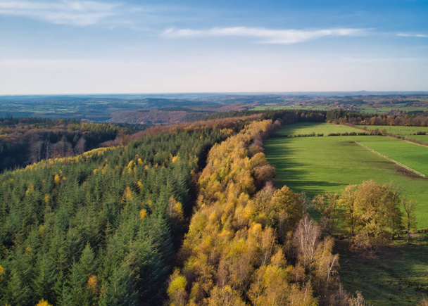 Fenyőerdők, rét és legelő levegője a belgiumi Ardennekben. A természet szépsége. - Fotó, kép