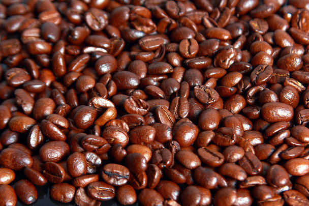 Granos de café - Photo, image