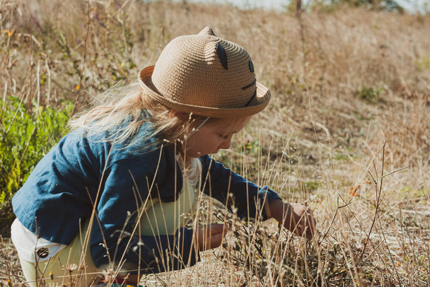 Очаровательная маленькая девочка в соломенной шляпе с видом на поле собирает дикую траву. Стильный ребенок с длинными светлыми волосами на фоне заоблачного неба. Осенняя прогулка по сельской местности. - Фото, изображение