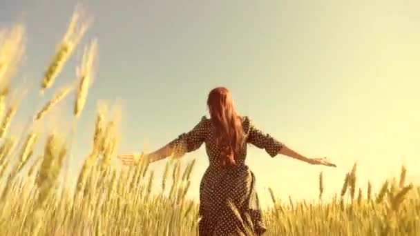 Jovem livre corre em câmera lenta através do campo, tocando espigas de trigo com a mão. Menina bonita apreciando a natureza em sol quente em um campo de trigo em um fundo de pôr do sol. Menina viaja. - Filmagem, Vídeo