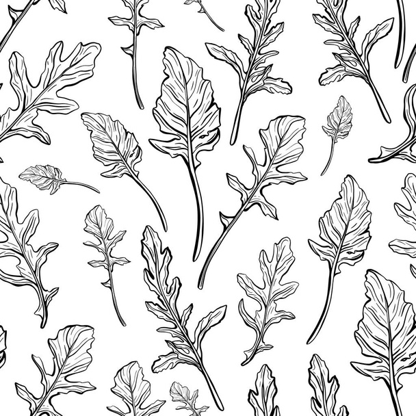 Arugula seamless pattern. Arugula leaves on a white background. Spicy and aromatic Italian seasoning. Hand-drawn vector illustration - Vector, Image