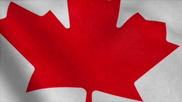 Флаг Канады развевается на ветру. 4K - Кадры, видео