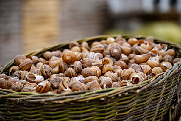 Cropped view of basket full of empty snails shells - Foto, imagen