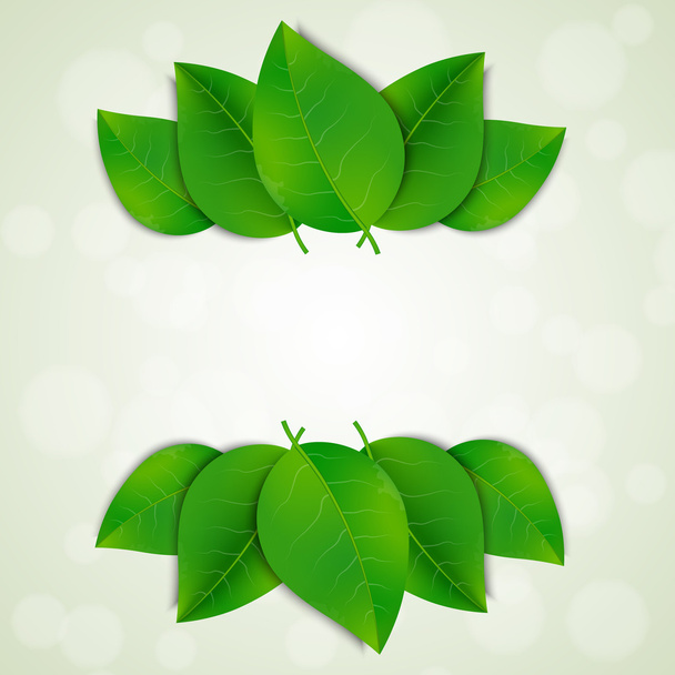 Green leaves background - Vektor, obrázek