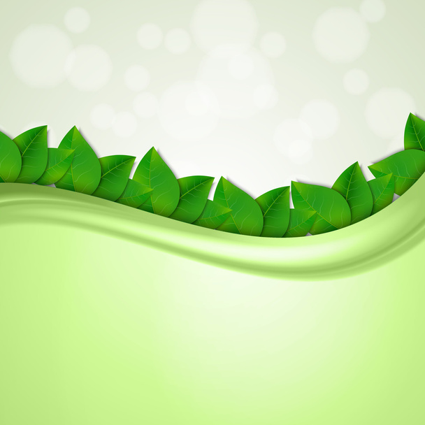 grüne Blätter Hintergrund - Vektor, Bild