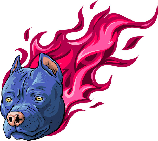 Kopf von Hund Pitbull mit Flammenvektor - Vektor, Bild