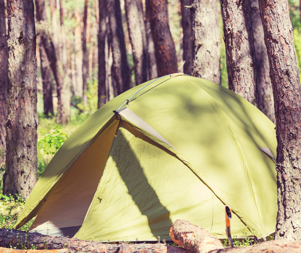 палатка в лесу - Фото, изображение