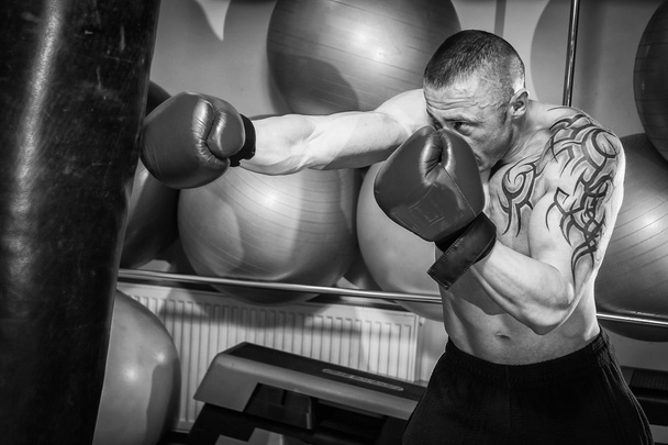 férfi tetoválás boksz - Fotó, kép