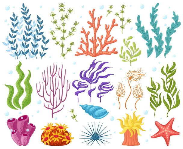 Cartoon oceaanplanten. Anemonen, koralen en zeewier, zeewier, aquariumplanten. Onderwater rif flora vector illustratie pictogrammen ingesteld - Vector, afbeelding